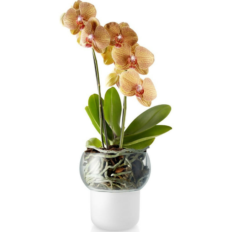Macetero Autoregante para Orquideas Ø 15cm Eva Solo