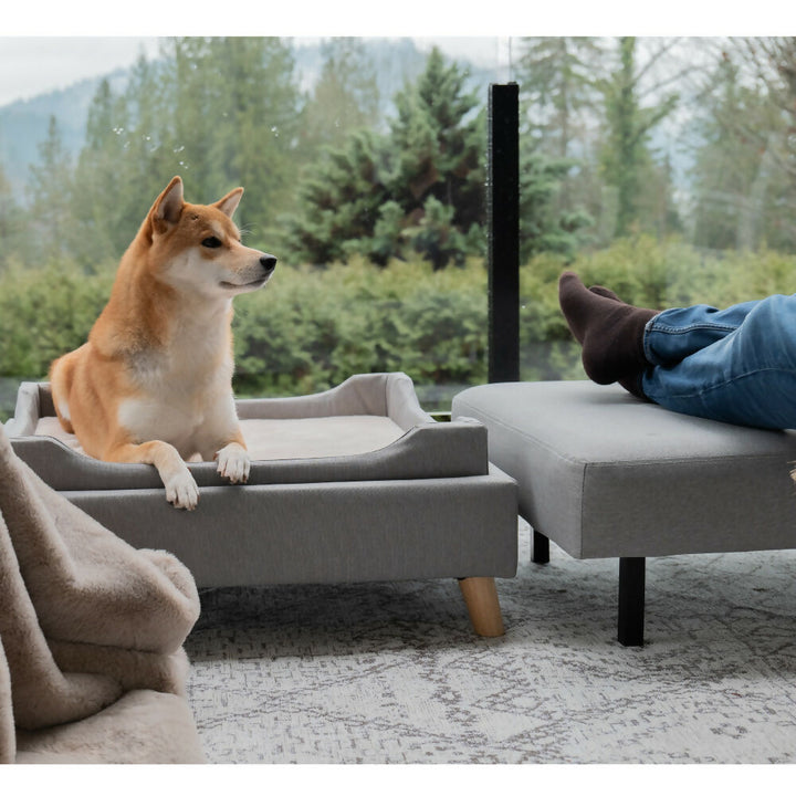 Ottoman para mascota Otto