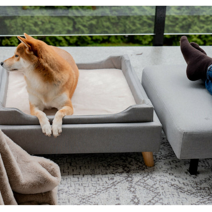 Ottoman para mascota Otto