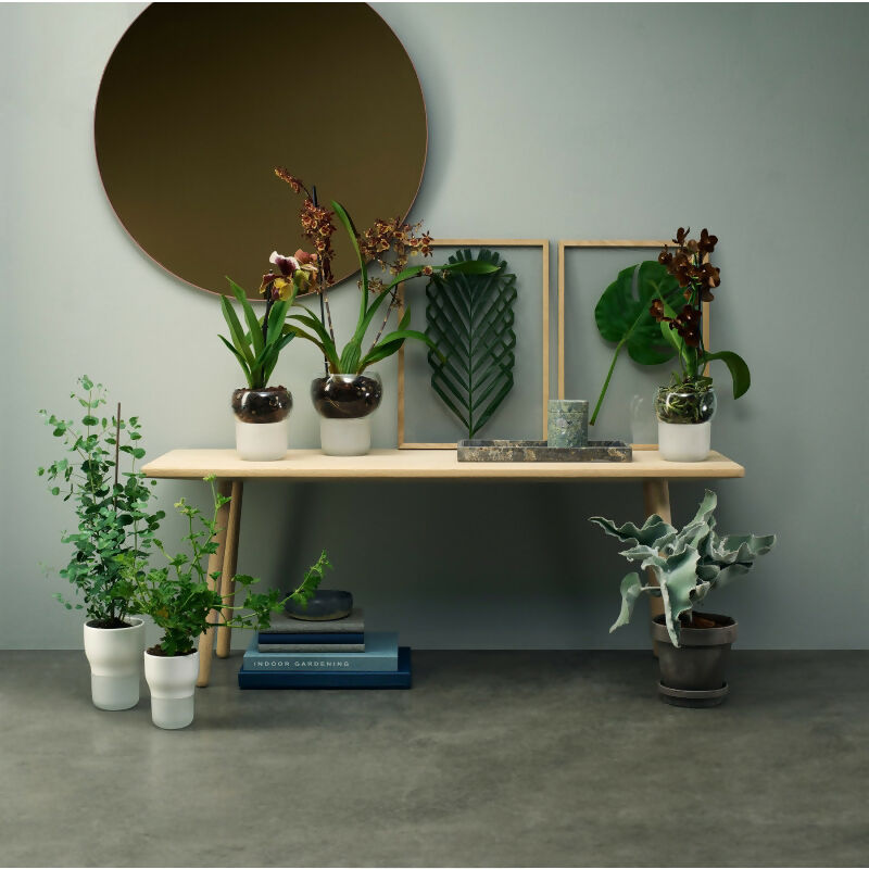 Macetero Autoregante para Orquideas Ø 15cm Eva Solo