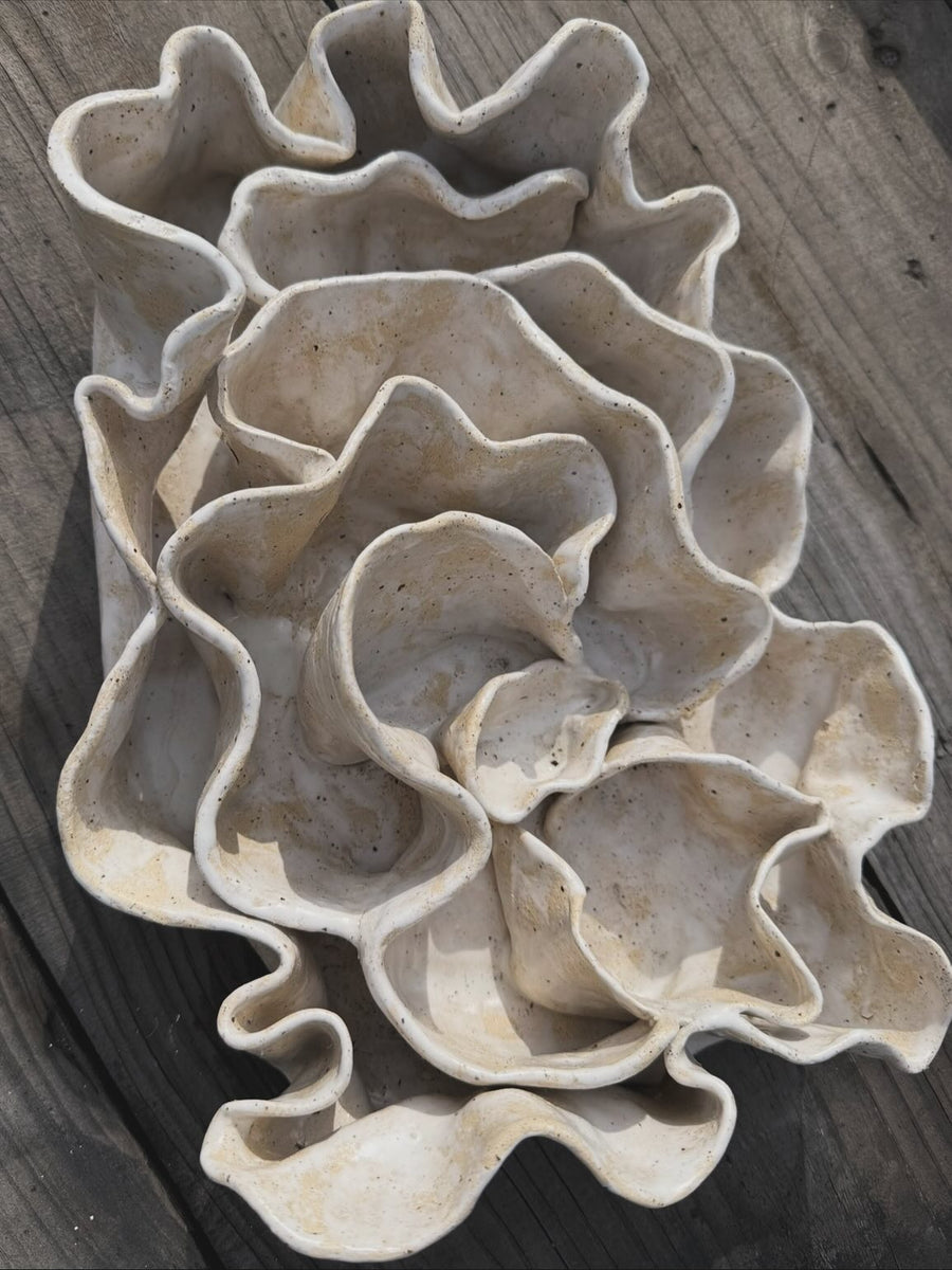 Coral