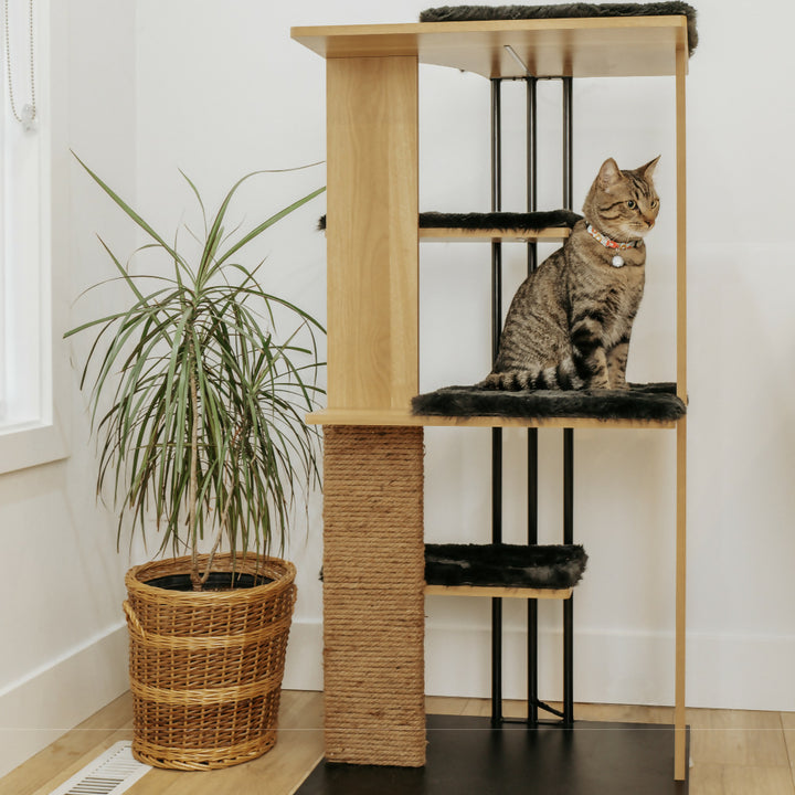 Árbol para gato Cali con lámpara