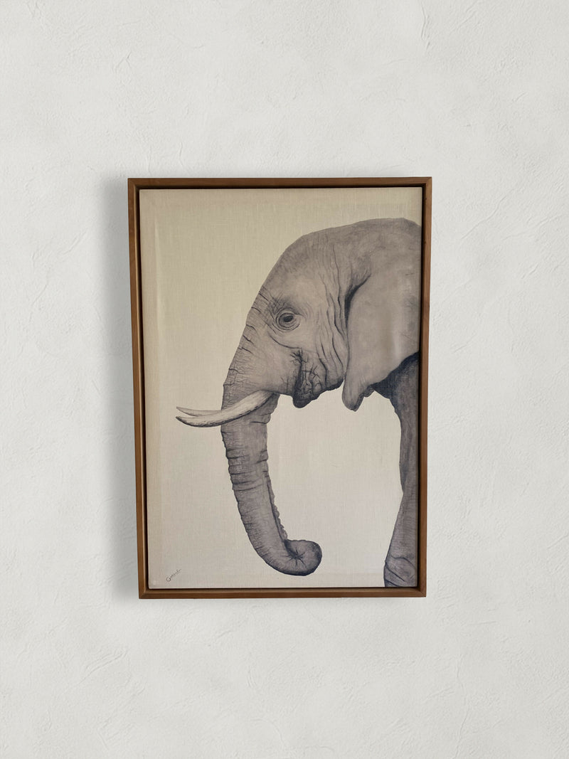 Canvas Elefante 50x70 cm