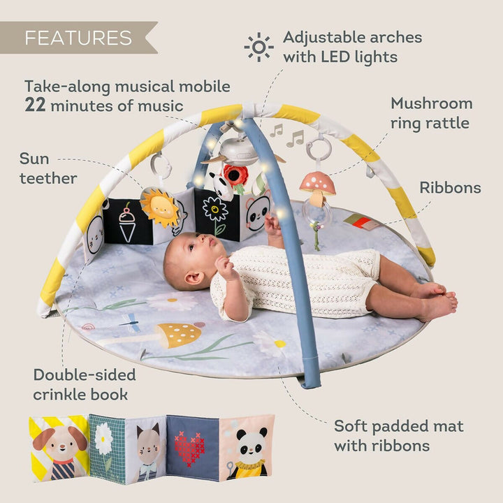 Gimnasio Melody Taf Toys