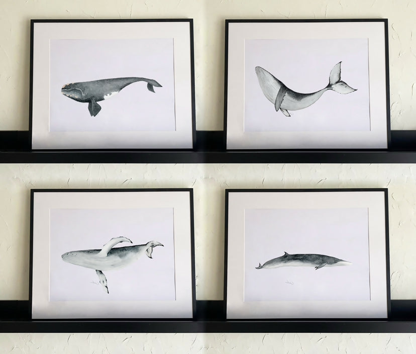Set láminas ballenas Ilustradas 30x42 cm en acuarela fine art