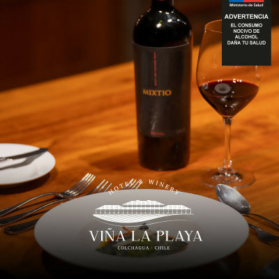 Tour Premium Viña La Playa