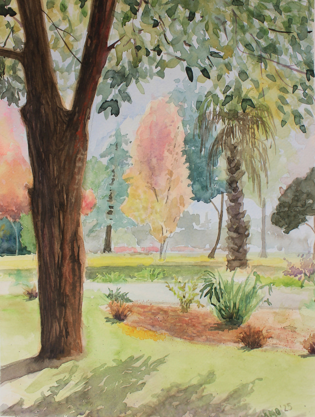 Rincón de un Parque