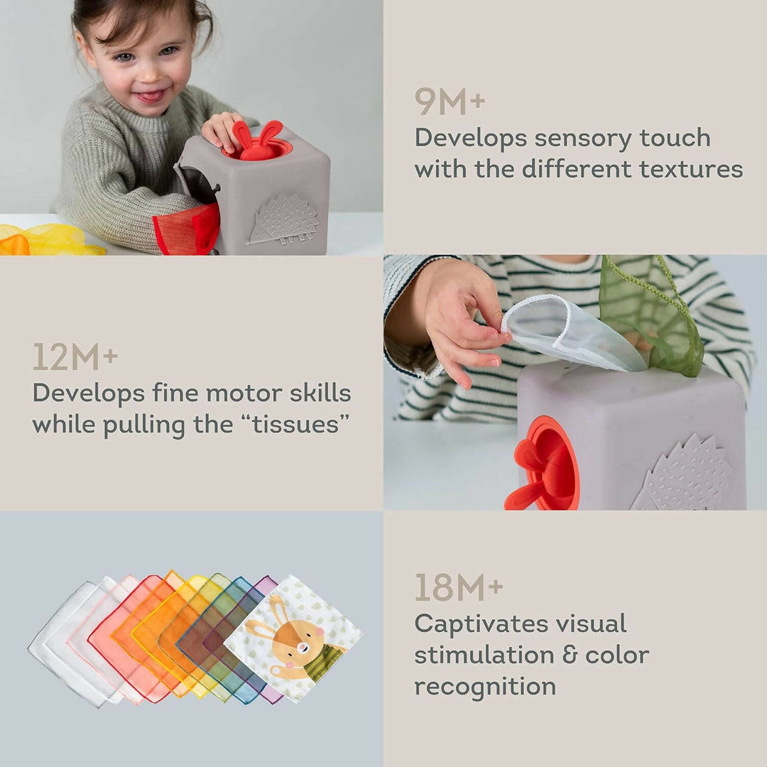 Caja de Pañuelos de Silicona