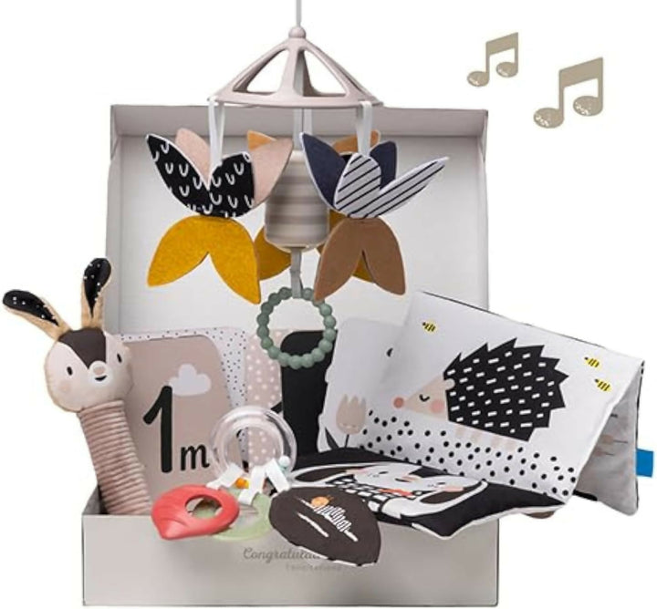 Kit Recién Nacido en Blanco y Negro