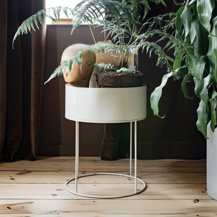 255_62119eb0-3efb-4977-86a9-62583f163135