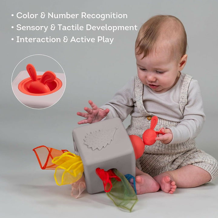 Caja de Pañuelos de Silicona