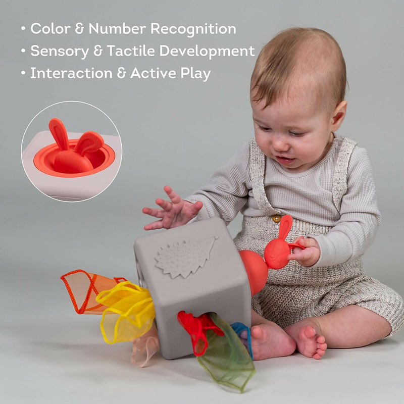 Caja de Pañuelos de Silicona