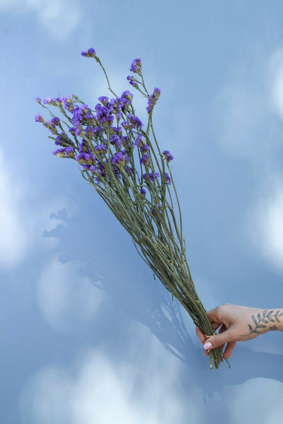 ESTATICE MORADO
