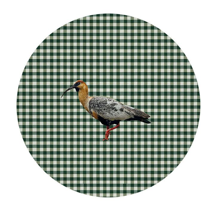 Bajoplato_Colchagua2