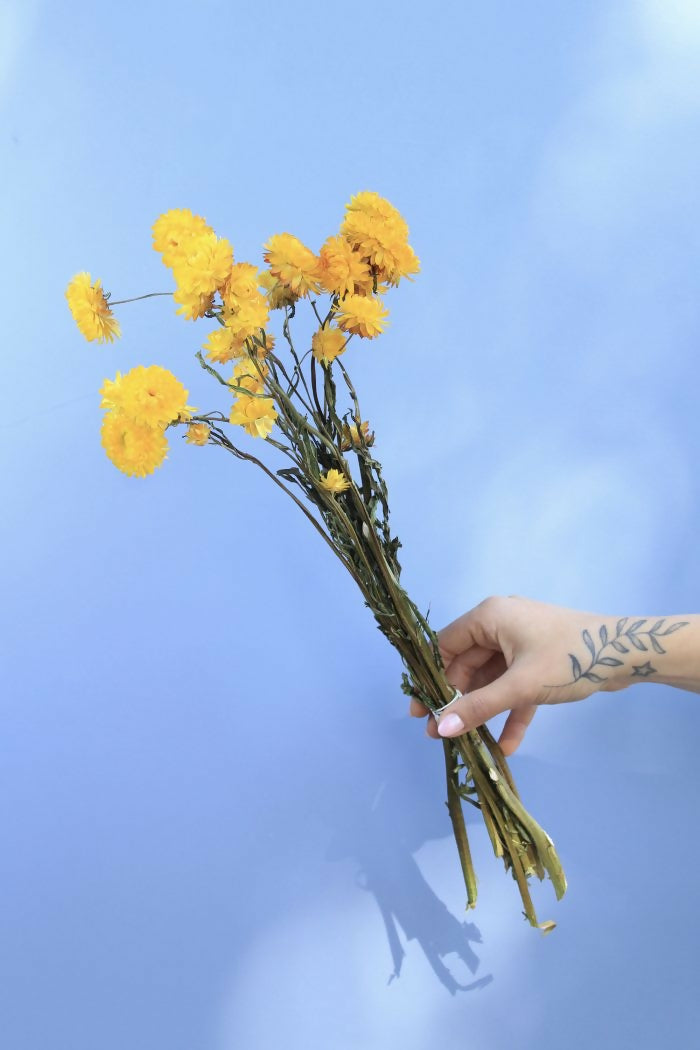 helicriso amarillo 2