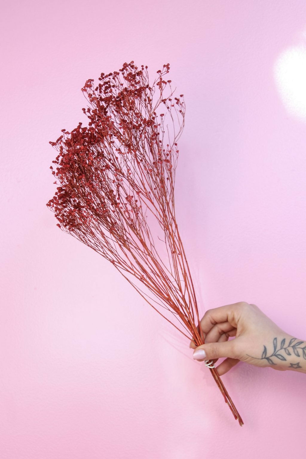 Retamo Rojo Bazared Cl