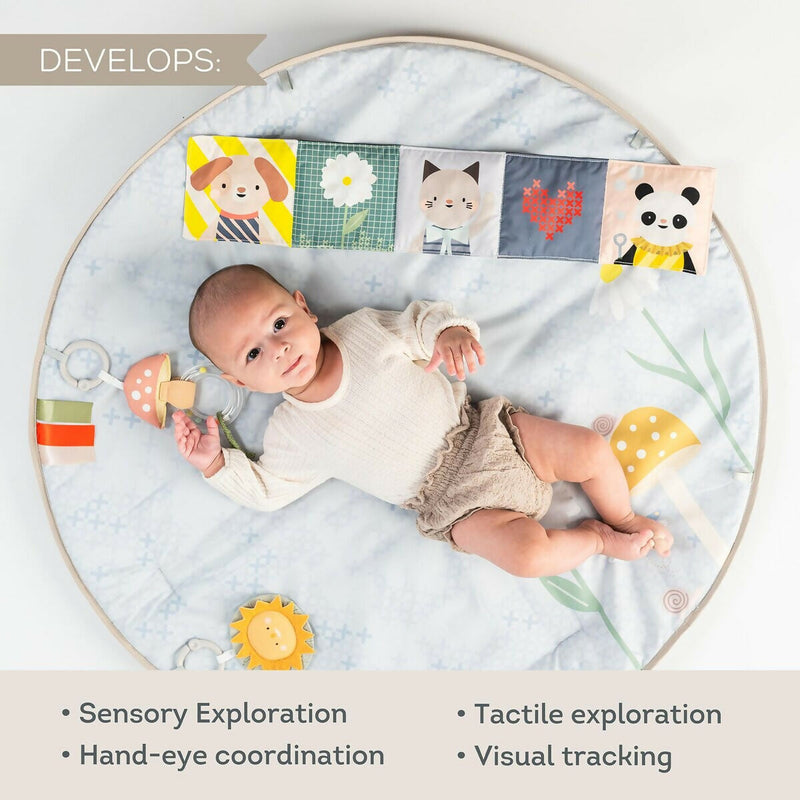 Gimnasio Melody Taf Toys