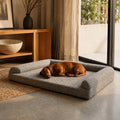 Cama Motion Care