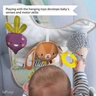 Centro de Juegos para el Auto Jardin