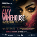 Concierto Homenaje: Amy Winehouse "Back to Black: 20 Years" en Teatro CA660 | Entradas Palco Central y Descuento