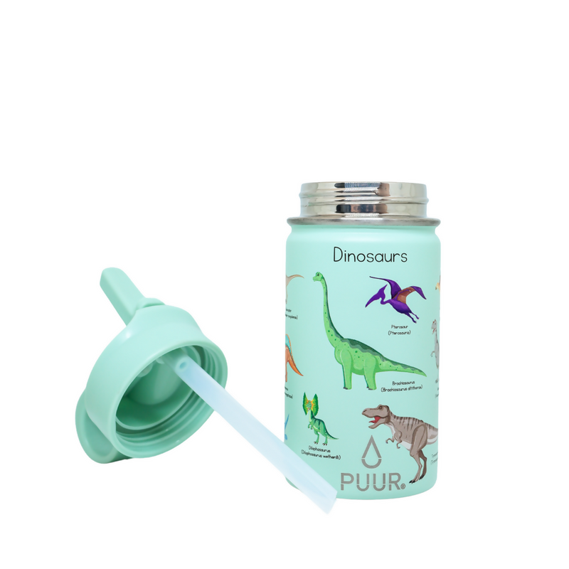 PUUR_BOTTLE_DINO