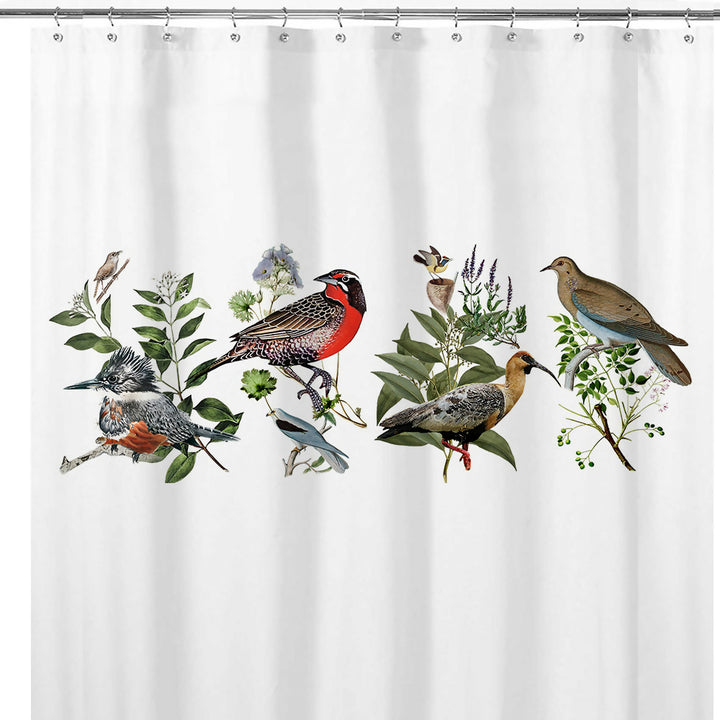 Cortina de Baño Pájaros Nativos