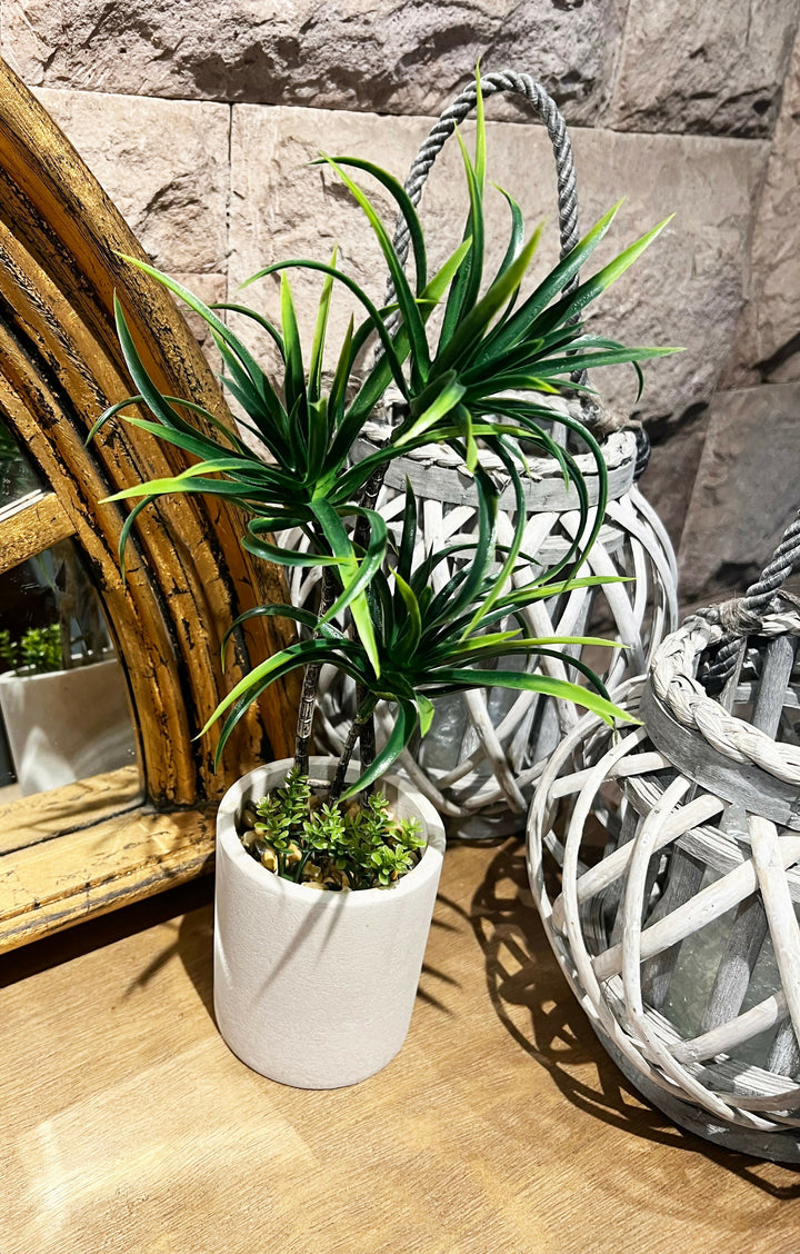PALMERITA