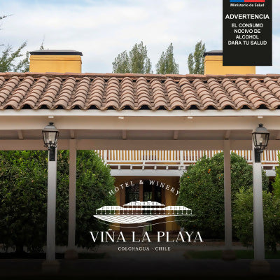 Experiencia Viña La Playa Hotel & Winery.