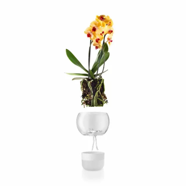 Macetero Autoregante para Orquideas Ø 15cm Eva Solo