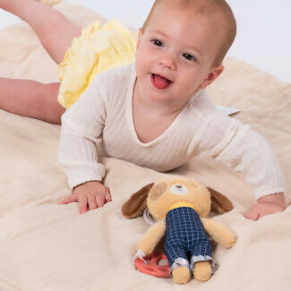 Peluche con Actividades Daniel
