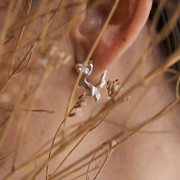 Argollas lokani-maialen