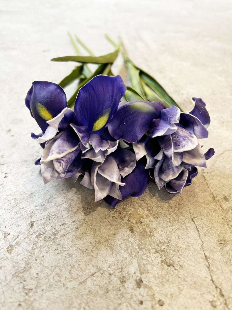 FLOR IRIS MORADO