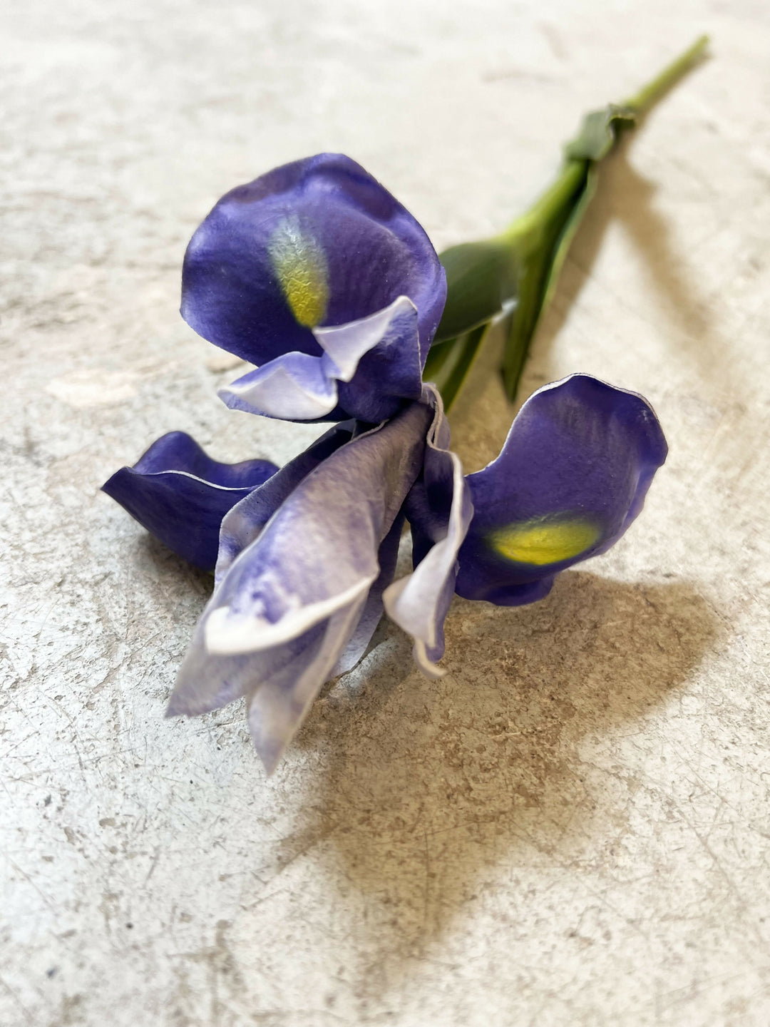 FLOR IRIS MORADO