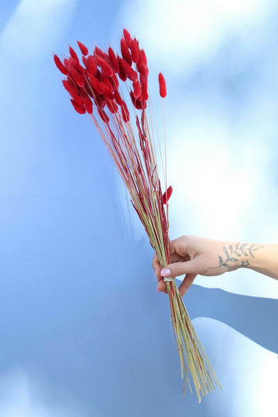 BUNNY TAIL ROJO
