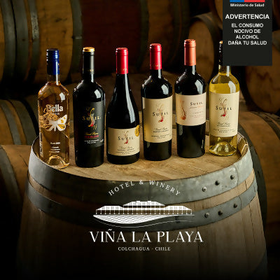 Tour Estándar Viña La Playa