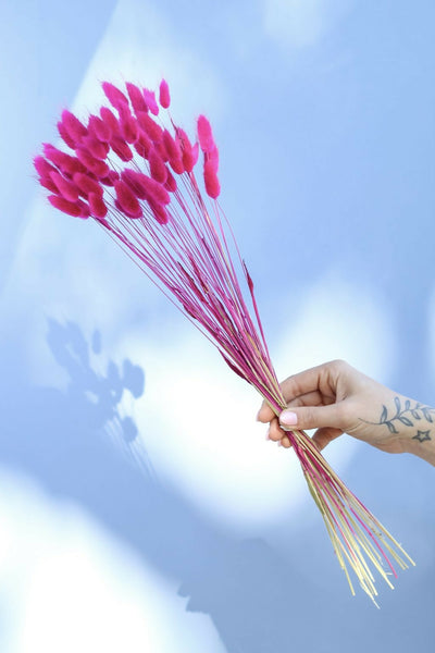 bunny tail fucsia