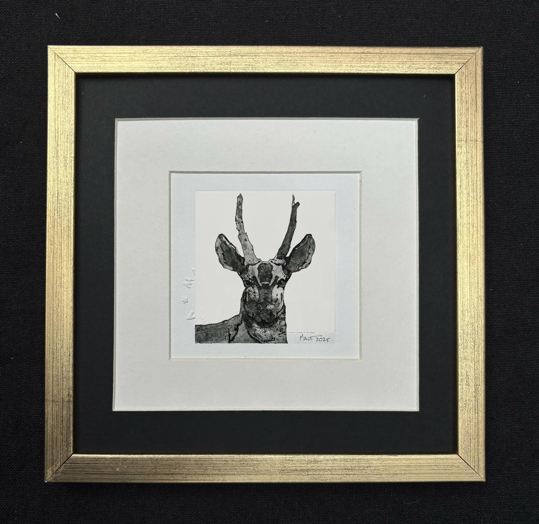 pequeño huemul negro