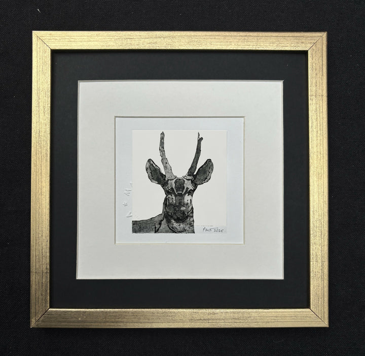 pequeño huemul negro