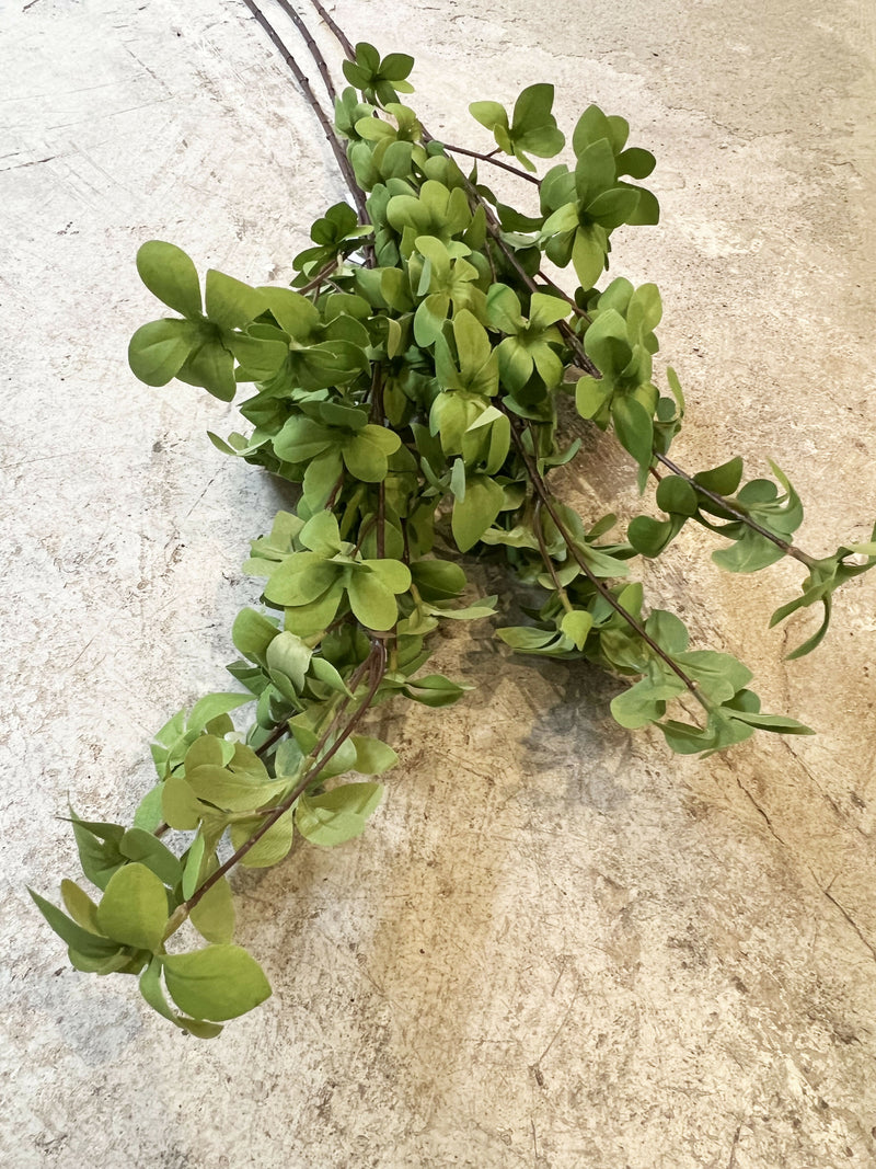 Rama Hoja Verde