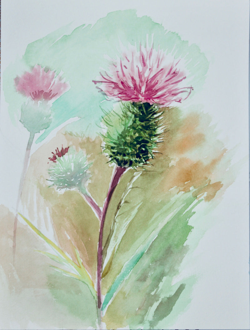 Flor del Cardo