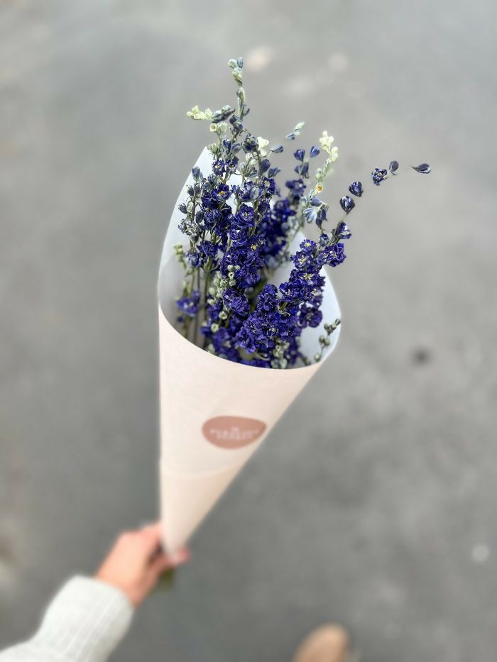 Delphinium Azul
