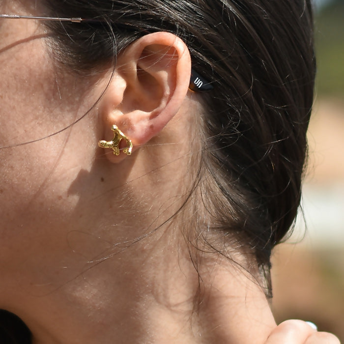 Aros-Haimei-dorado-Maialen-1