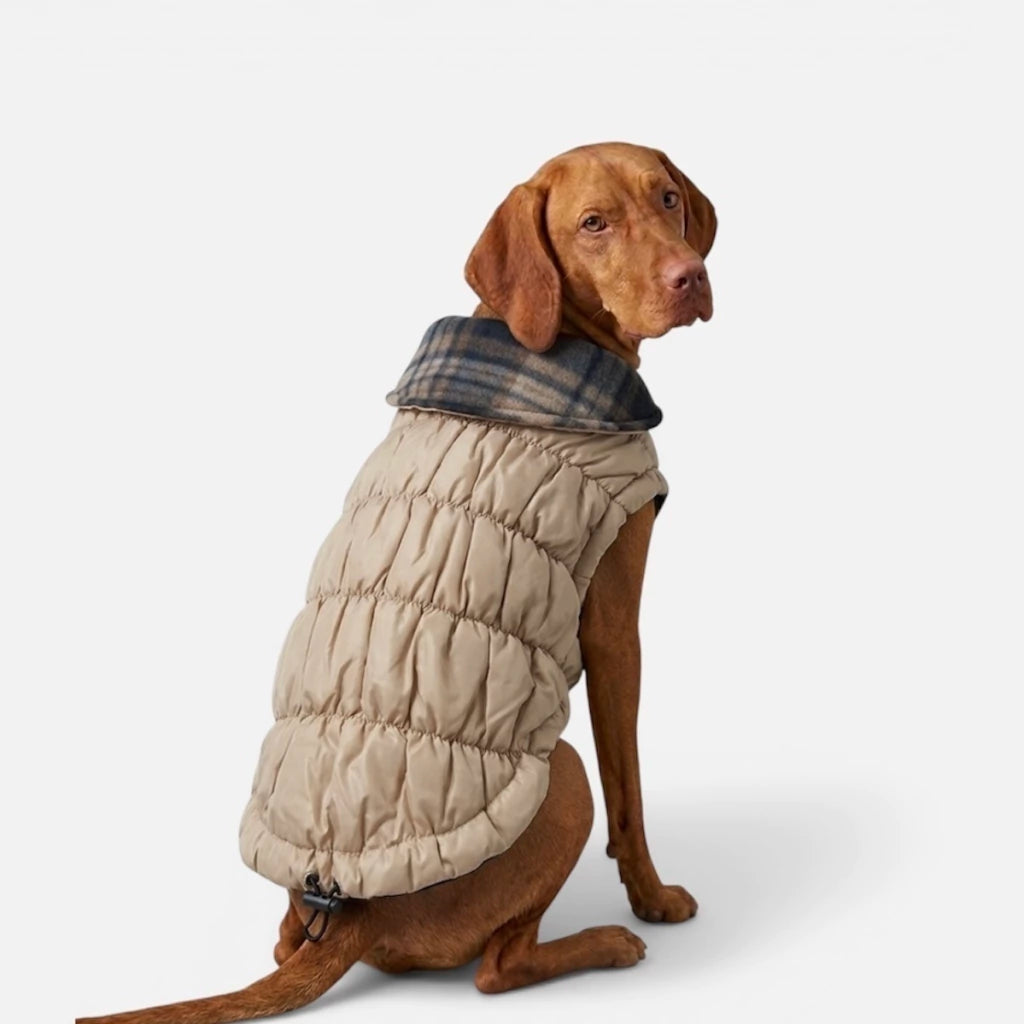 Parka Elemental