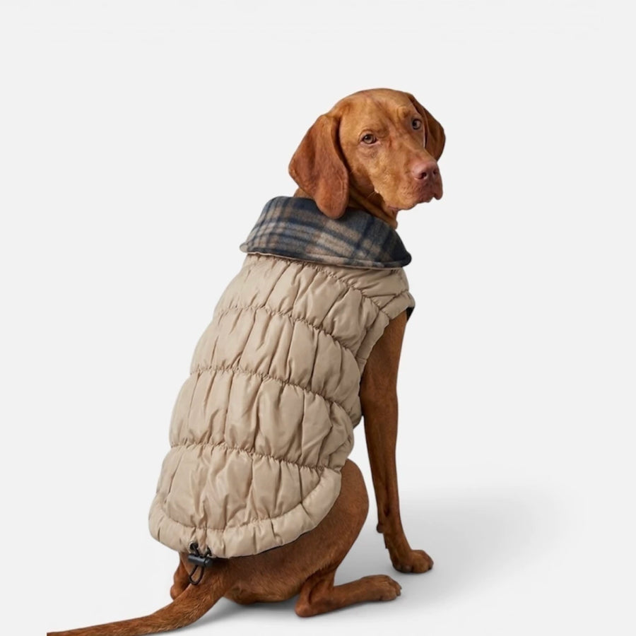 Parka Elemental