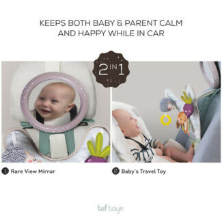 Centro de Juegos para el Auto Jardin