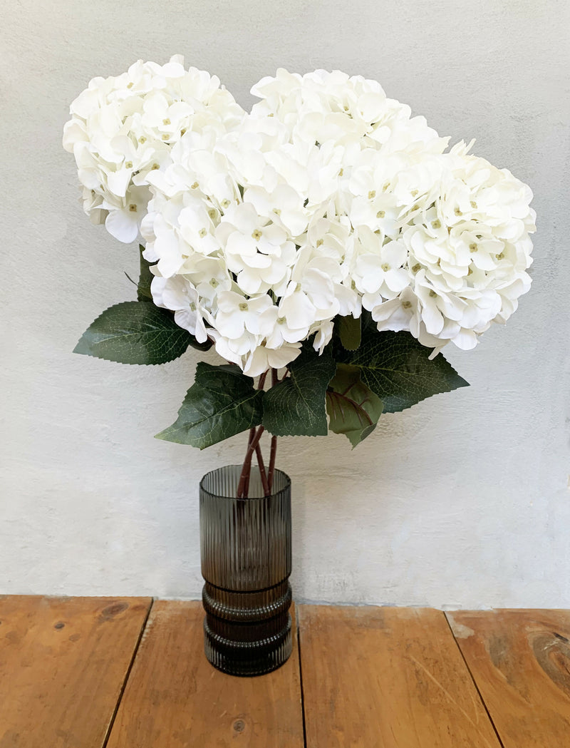 HORTENSIA BLANCA LARGA