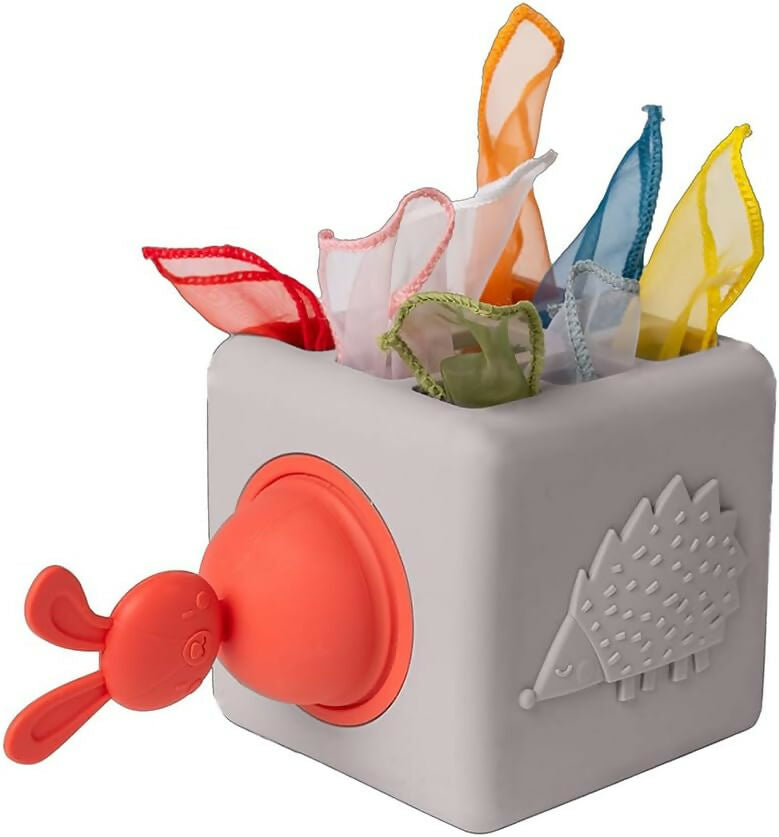 Caja de Pañuelos de Silicona