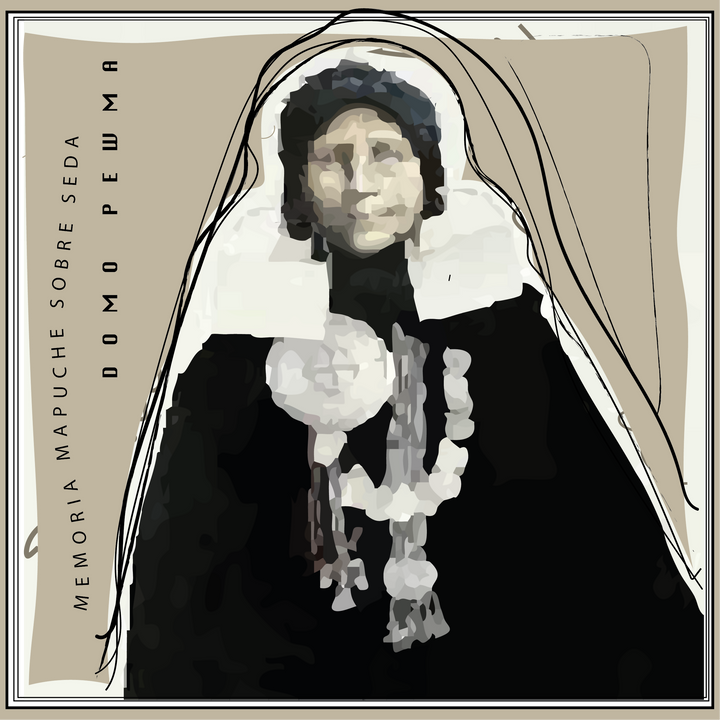 Bufanda Seda Domo Pewma