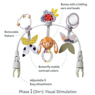 Arco de Actividades Crece Conmigo
