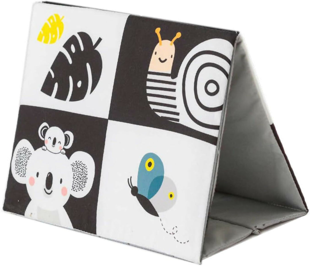 Espejo Blanco- Negro y a Color